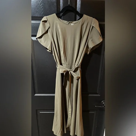 NEW Tulip Sleeve A-Line Dress NWT - Picture 5 of 13